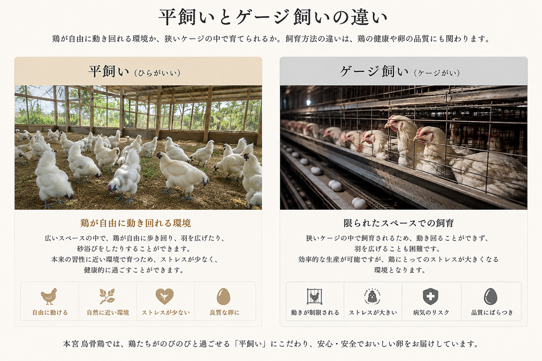 平飼いとは？