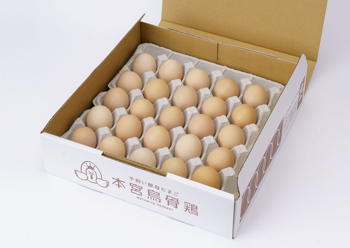 宮本烏骨鶏